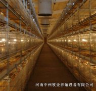 雞籠對雞舍溫度調(diào)節(jié)的影響