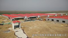 規(guī)?；B(yǎng)殖場蛋雞籠的規(guī)劃布局