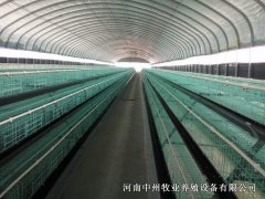 規(guī)?；半u籠養(yǎng)殖的優(yōu)勢