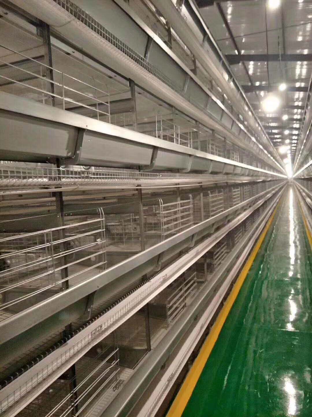 層疊蛋雞籠