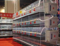 雞籠廠家講科學(xué)換料的時機