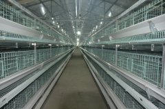 運用新技術(shù)降低成本